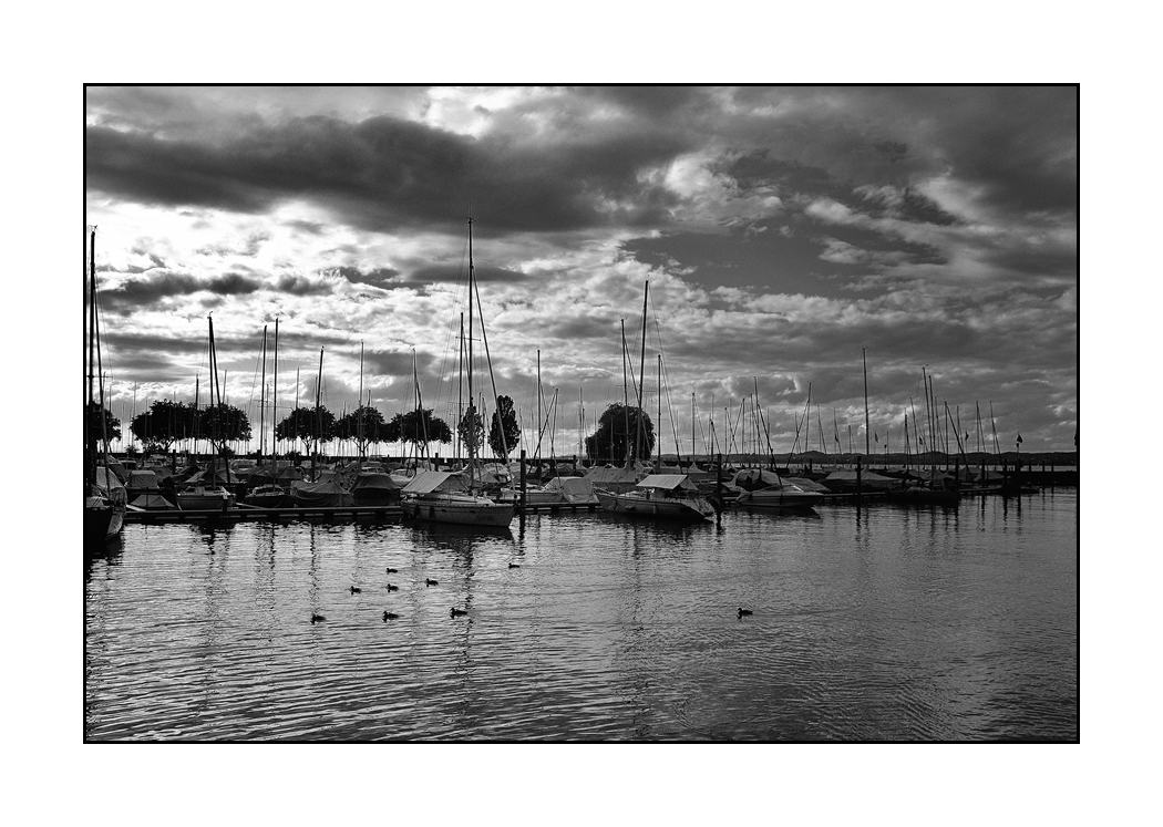 Abendlicht am Bodensee