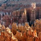 Abendlicht am Bryce Canyon