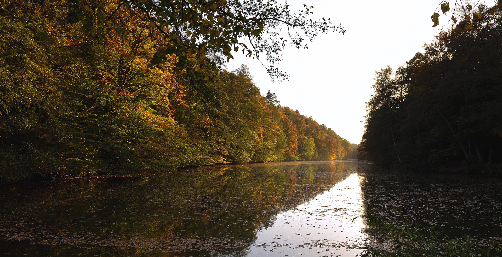 Abendlicht am ca. 600 m langen Hammerwoog im Hammerbachtal,...