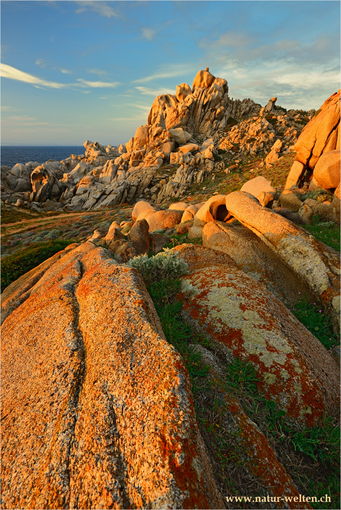 Abendlicht am Capo Testa