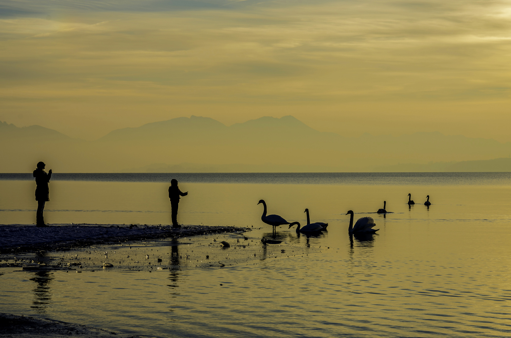 Abendlicht am Chiemsee