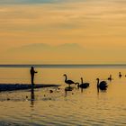 Abendlicht am Chiemsee