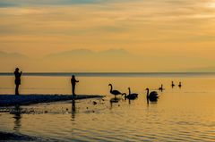 Abendlicht am Chiemsee