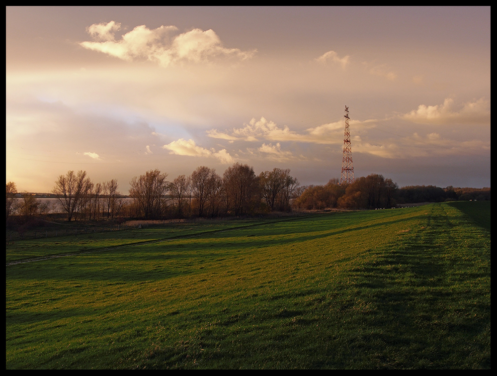 Abendlicht am Elbdeich