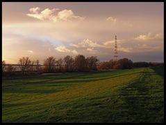 Abendlicht am Elbdeich