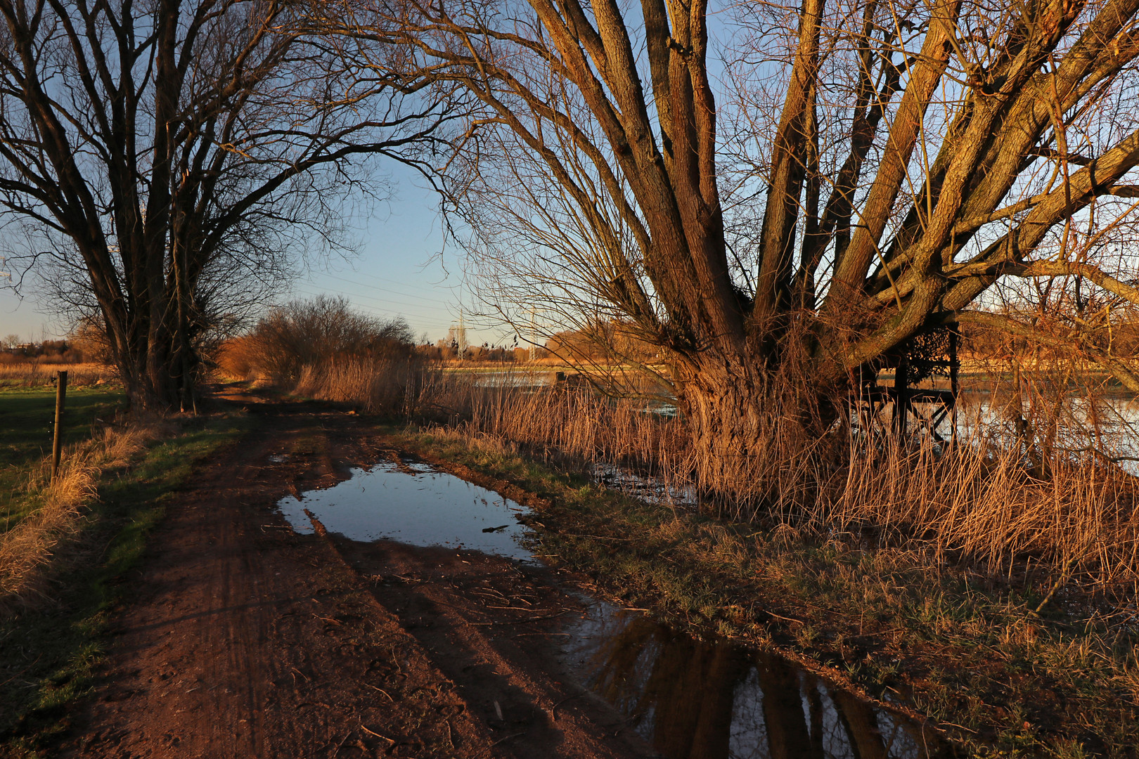 Abendlicht am Feldweg