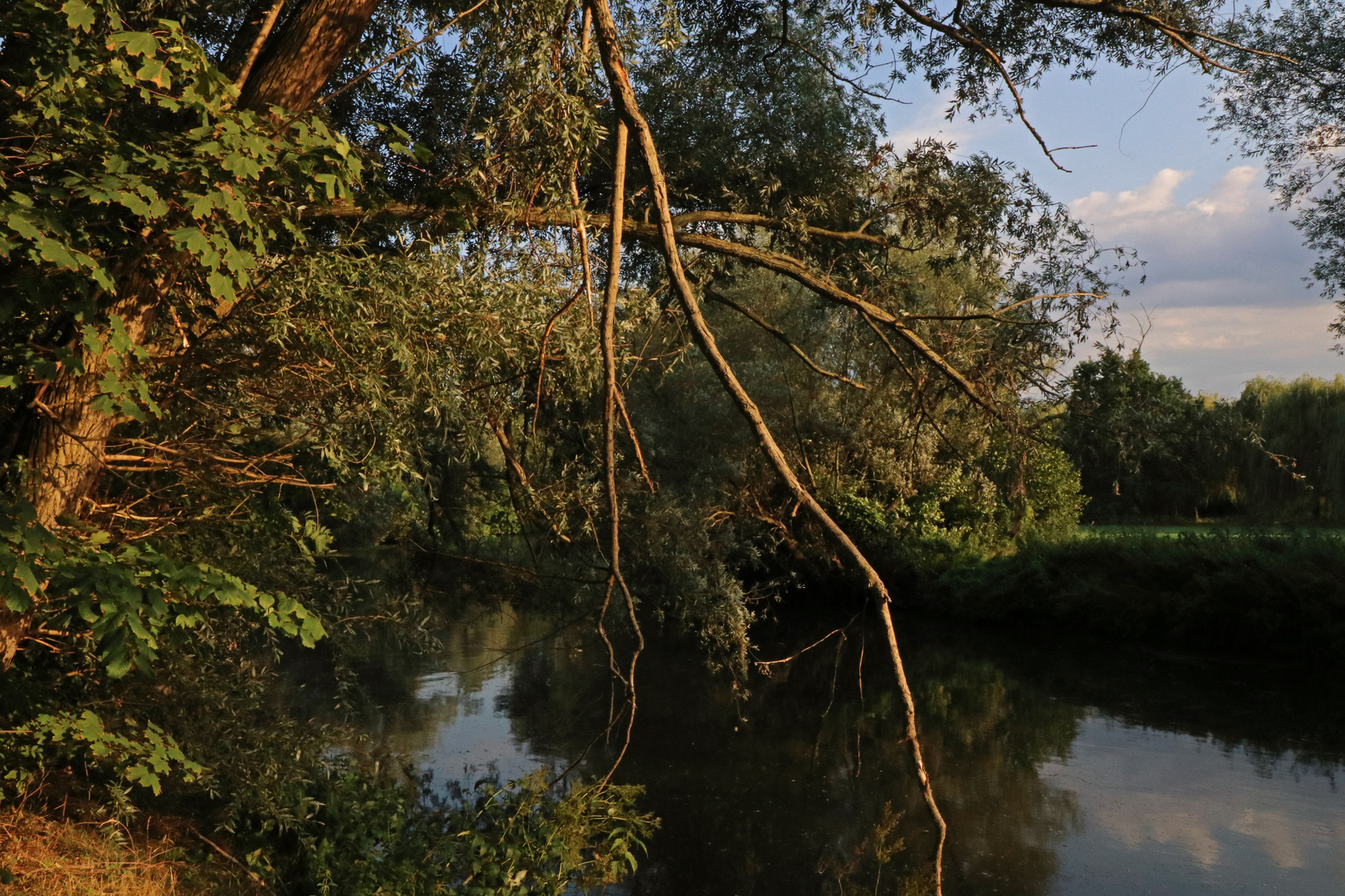 Abendlicht am Fluss