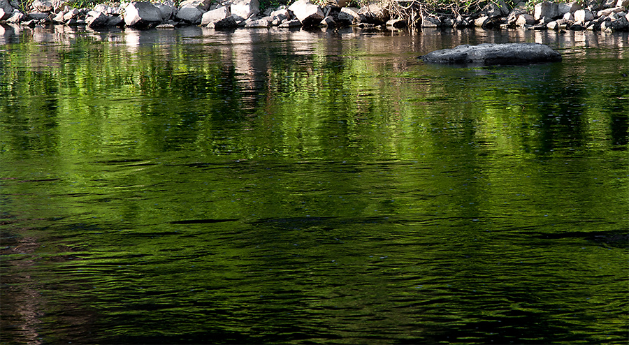 Abendlicht am Fluss