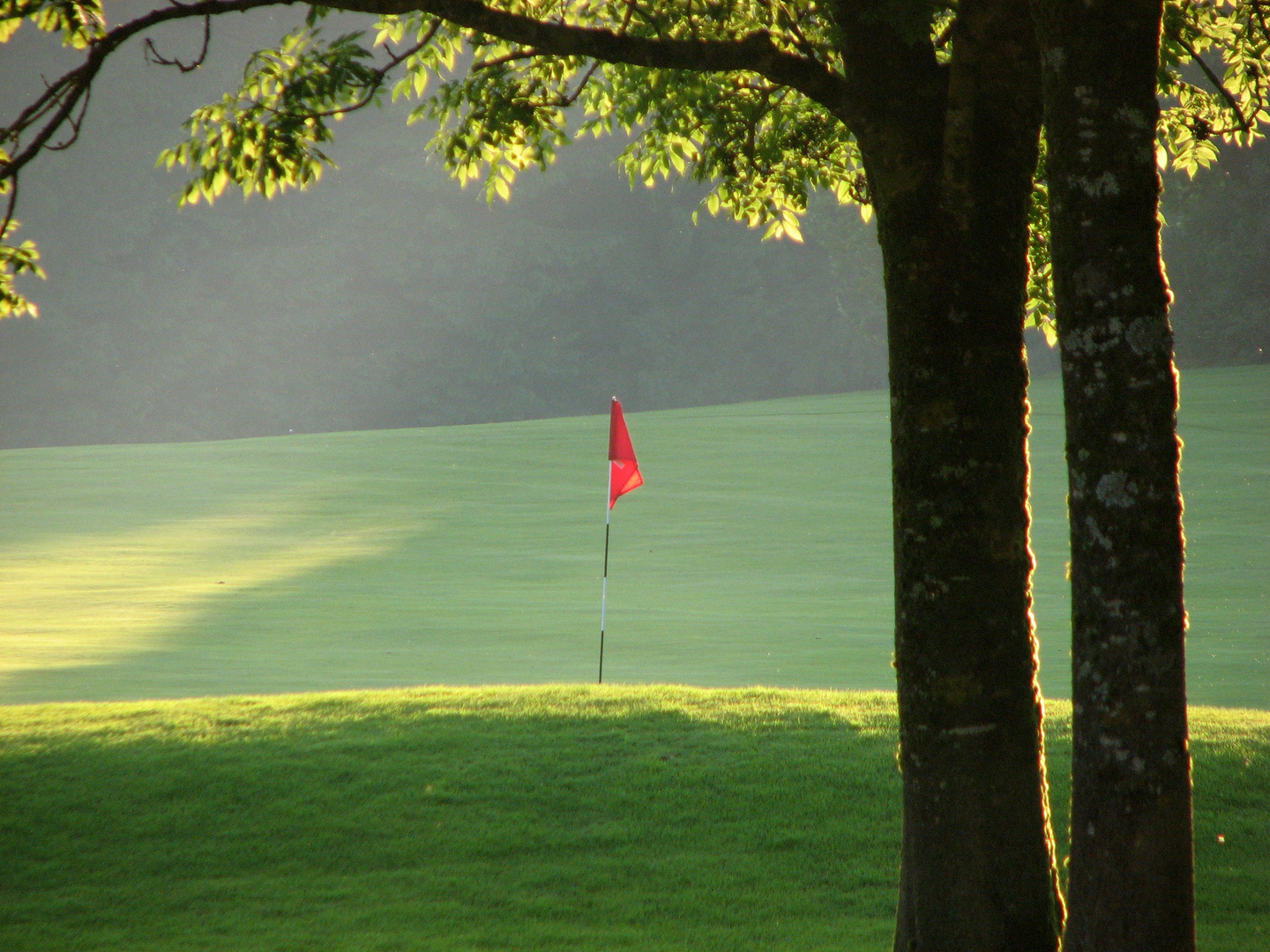 Abendlicht am Golfplatz