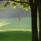 Abendlicht am Golfplatz