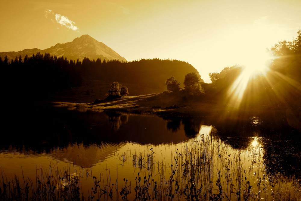 Abendlicht am Golzernsee