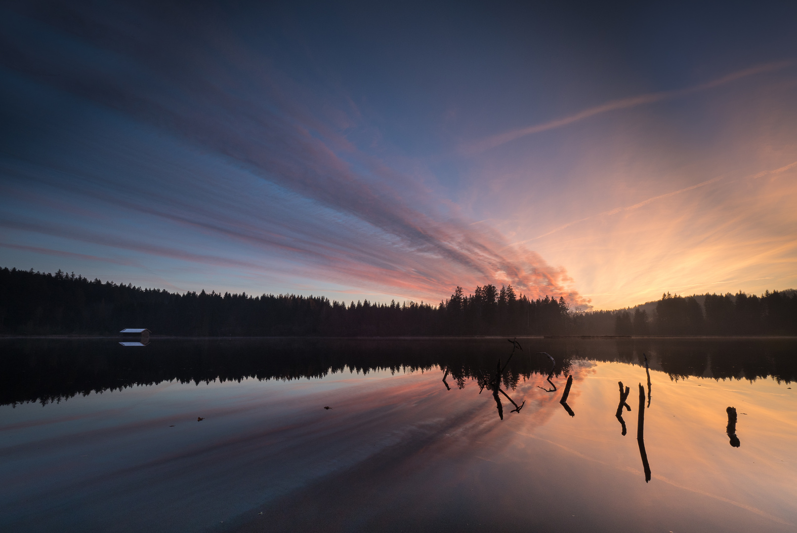 Abendlicht am Hackensee