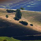 Abendlicht am Kaiserstuhl