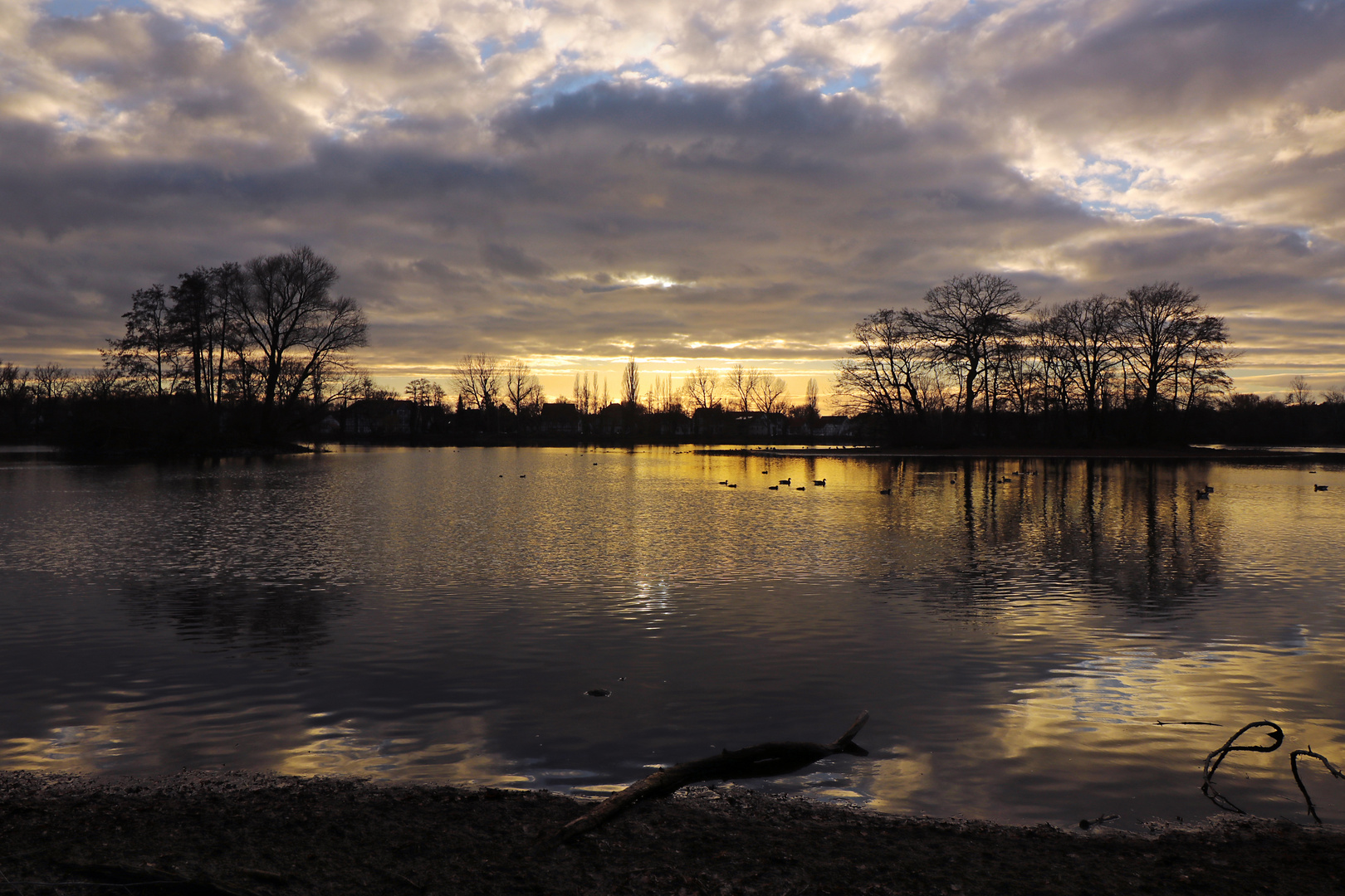 Abendlicht am Kreuzteich