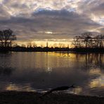 Abendlicht am Kreuzteich