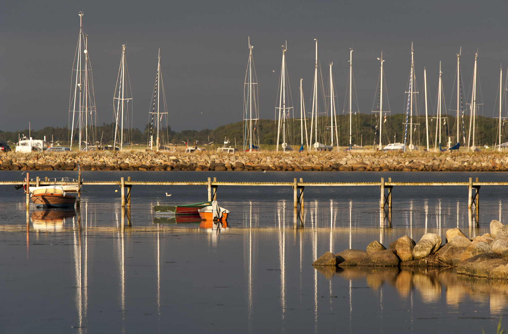 Abendlicht am Limfjord