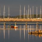 Abendlicht am Limfjord