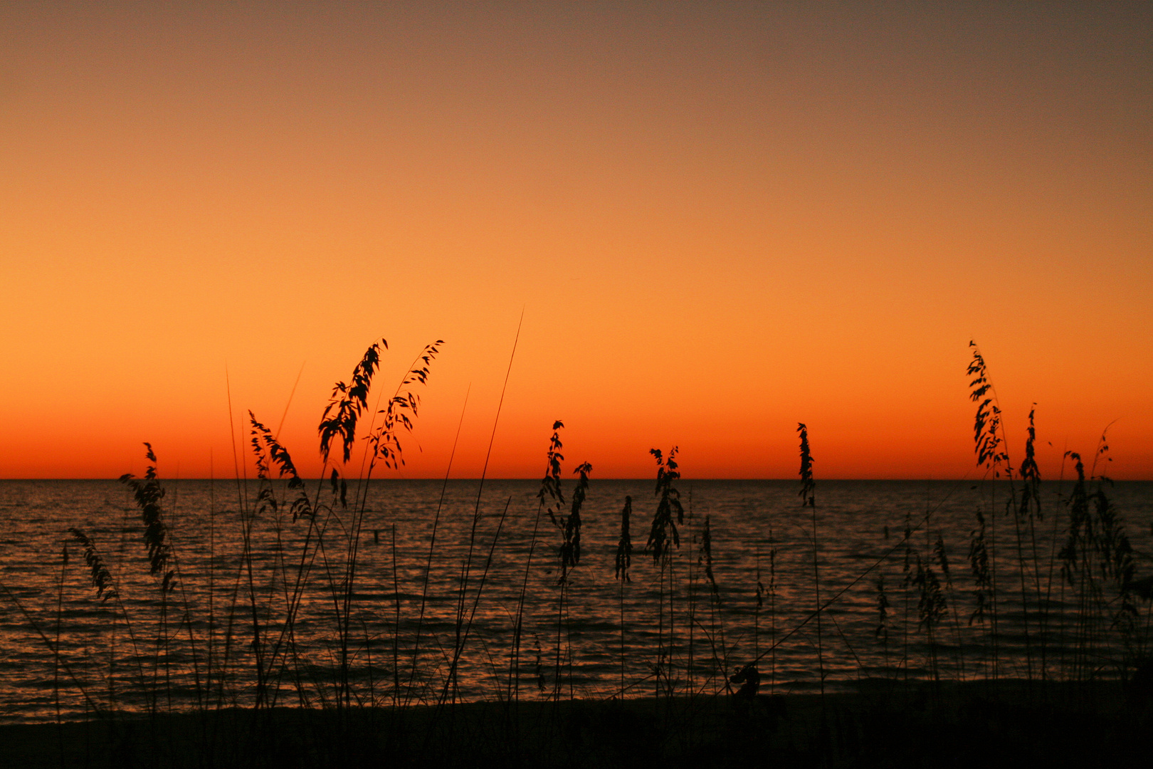 Abendlicht am Meer lädt zum Träumen ein