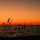 Abendlicht am Meer lädt zum Träumen ein