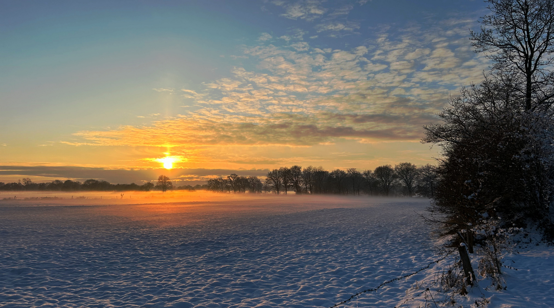 Abendlicht am Nachmittag