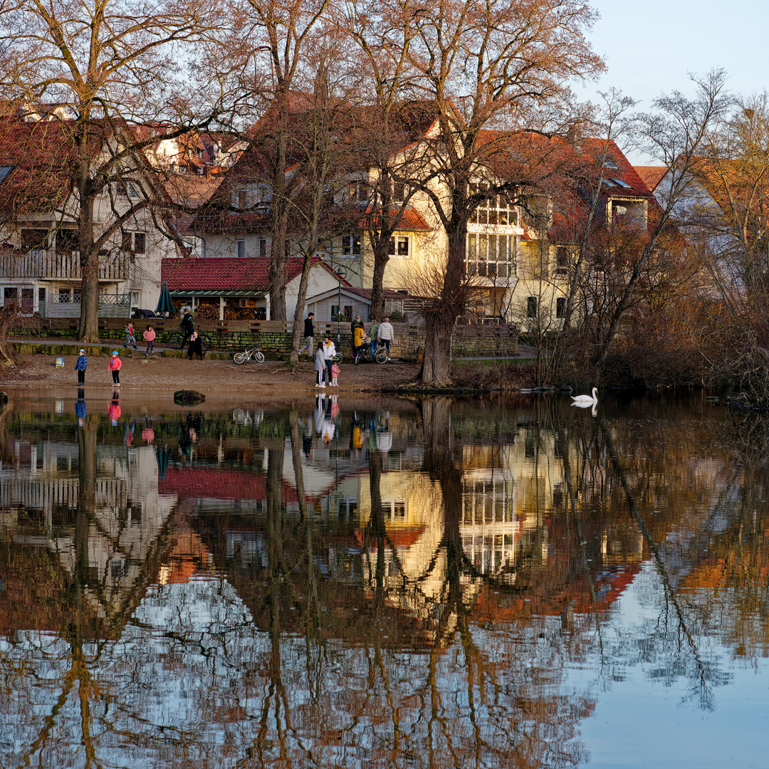 Abendlicht am Neckar