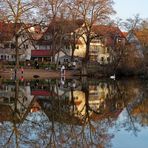 Abendlicht am Neckar