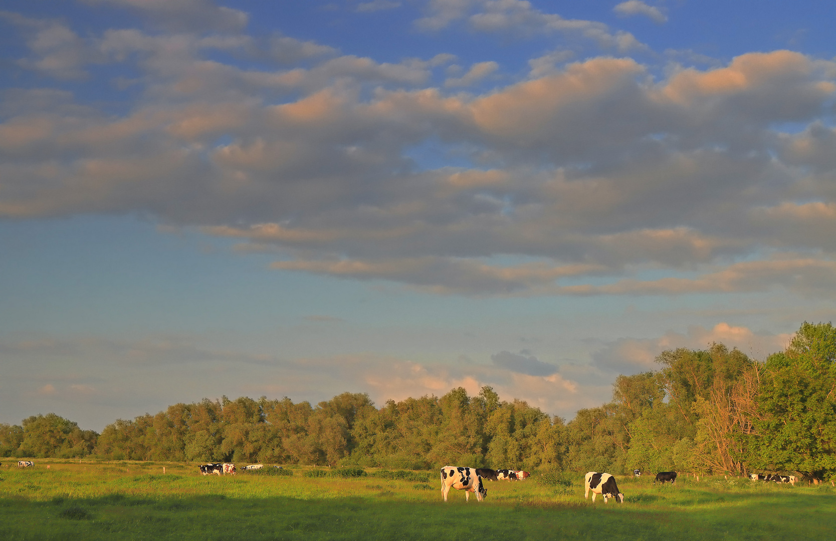 Abendlicht am Niederrhein!