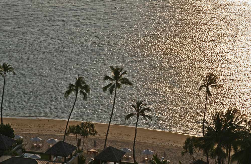 ABENDLICHT AM PALMENSTRAND