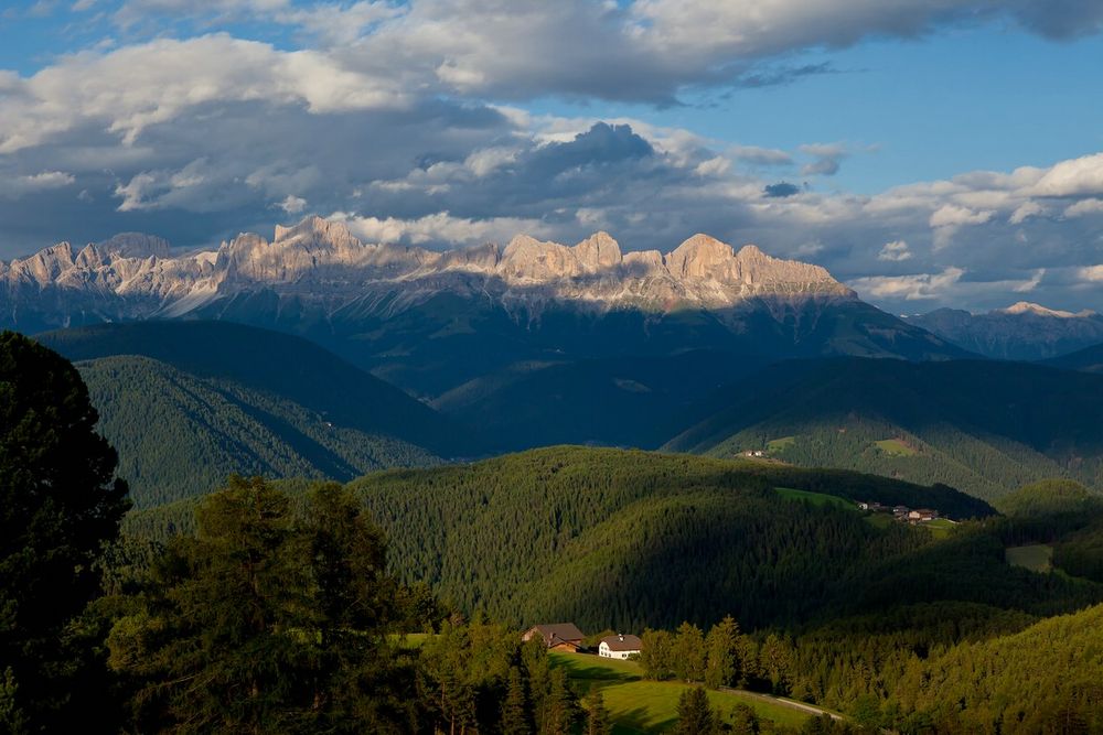 Abendlicht am Rosengarten