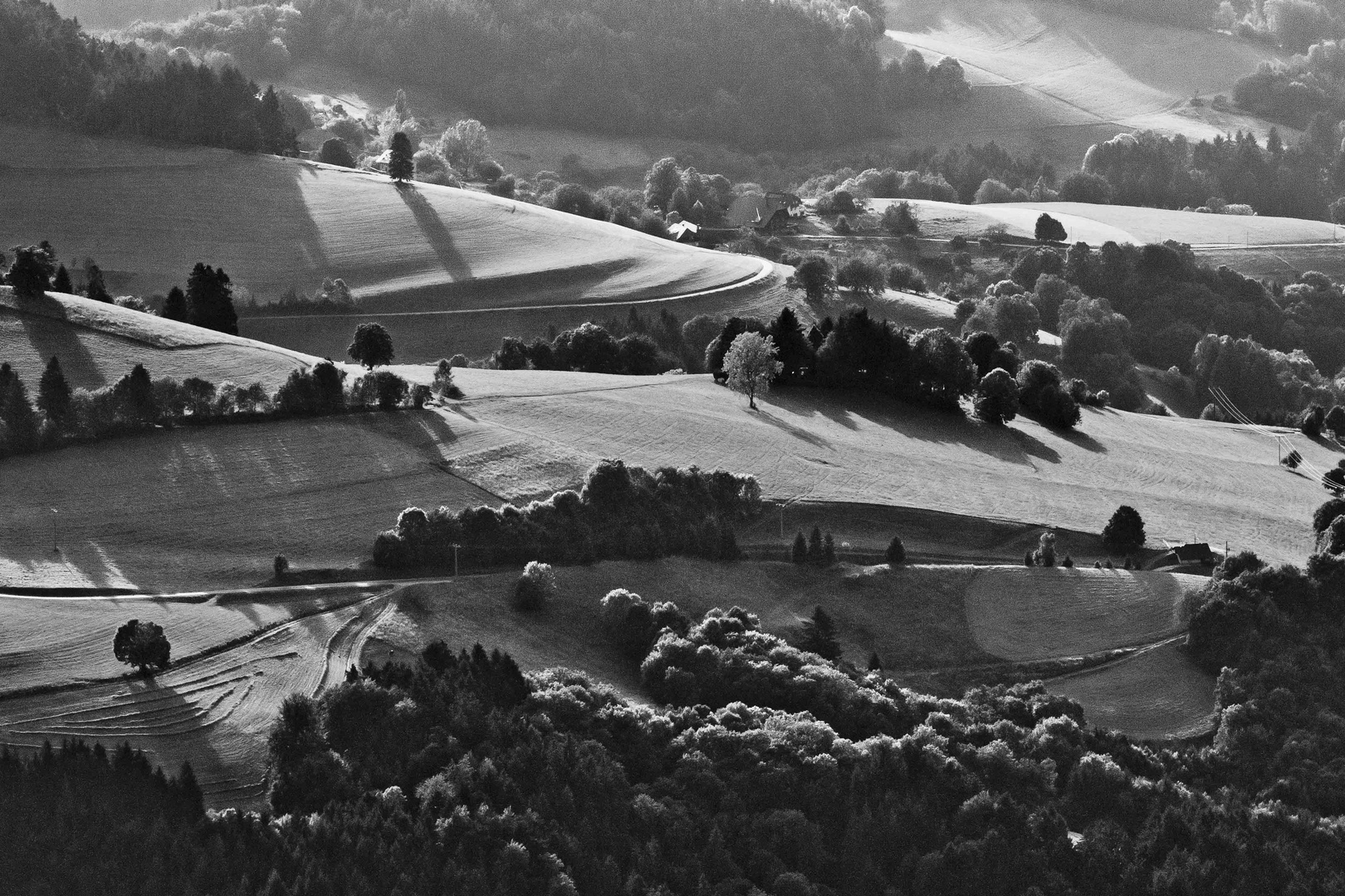 Abendlicht am Schauinsland, Schwarzwald, 2012