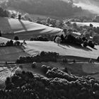 Abendlicht am Schauinsland, Schwarzwald, 2012