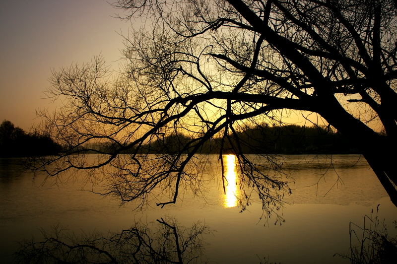 Abendlicht am See