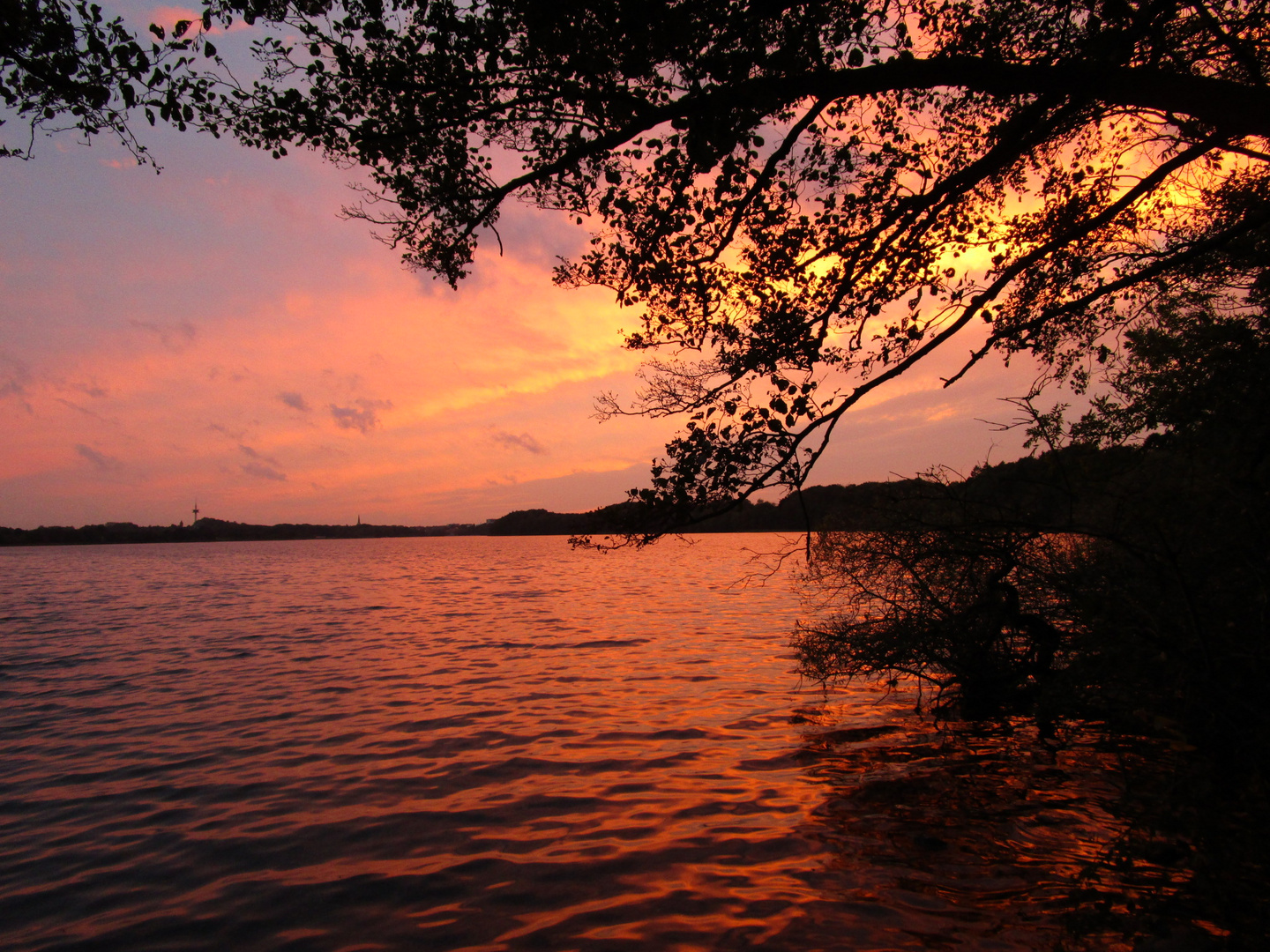 Abendlicht am See