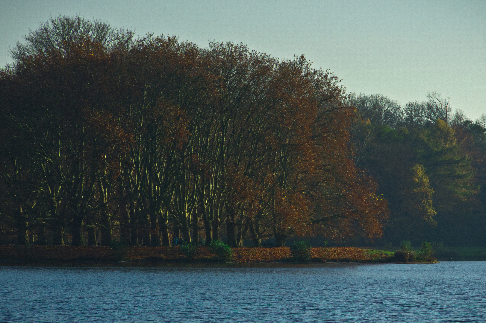 Abendlicht am See