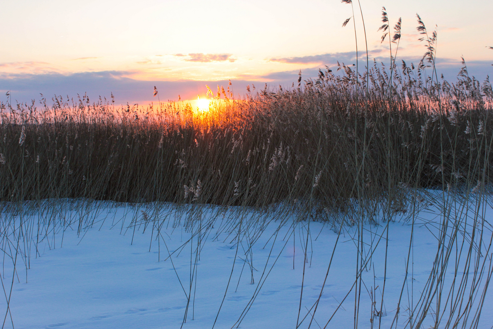 Abendlicht am See