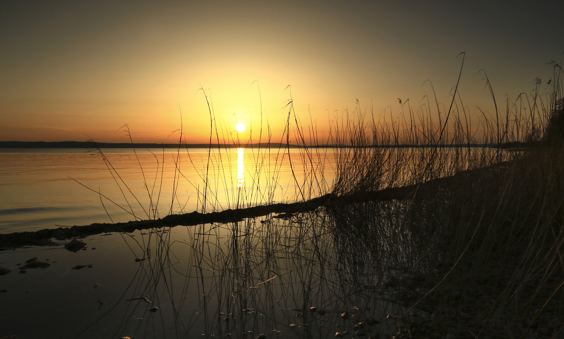 Abendlicht am Seeufer