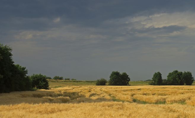 Abendlicht am Siegdamm