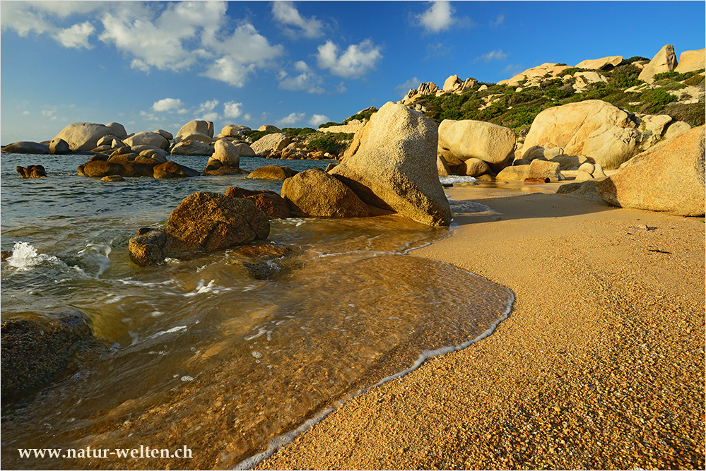 Abendlicht am Spiaggia di Talmone