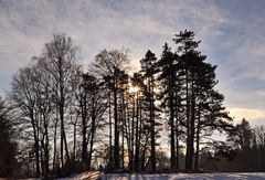 ABENDLICHT AM STARNBERGER SEE