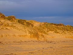 Abendlicht am Strand