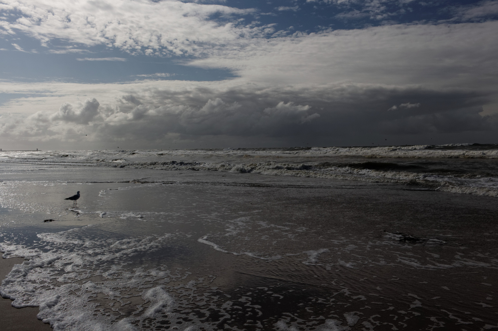 Abendlicht am Strand von Scheveningen