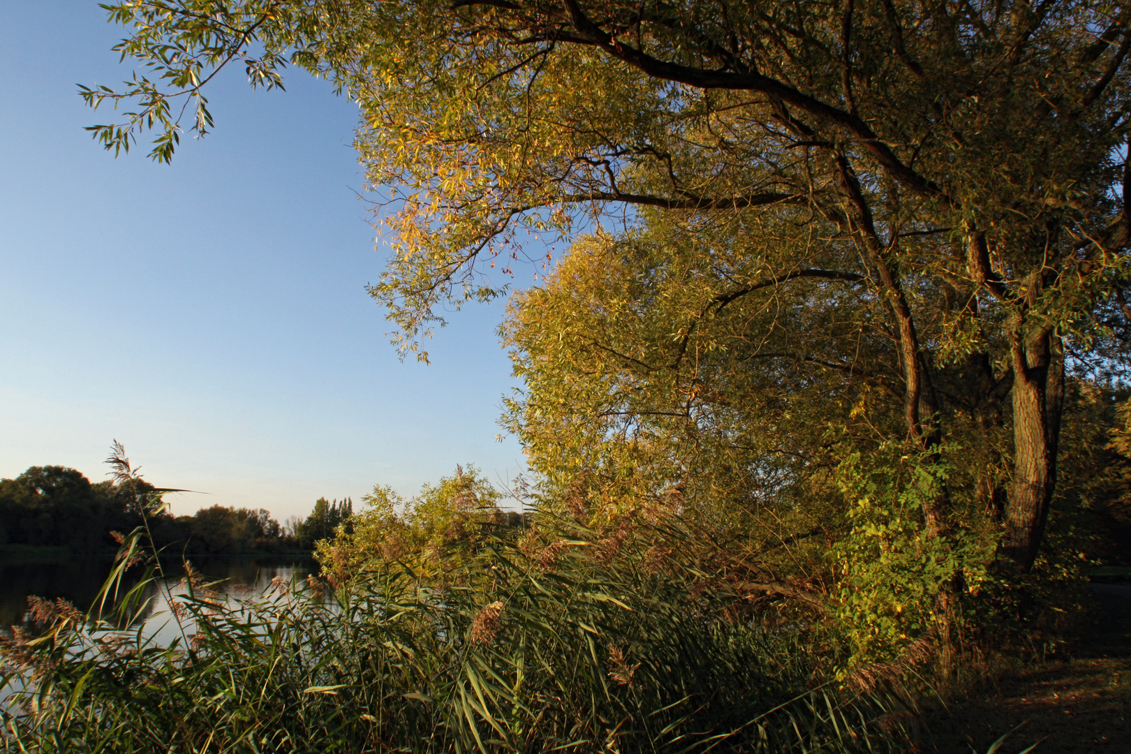 Abendlicht am Südsee