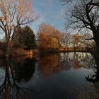 Abendlicht am Teich