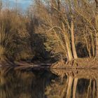 Abendlicht am Teich