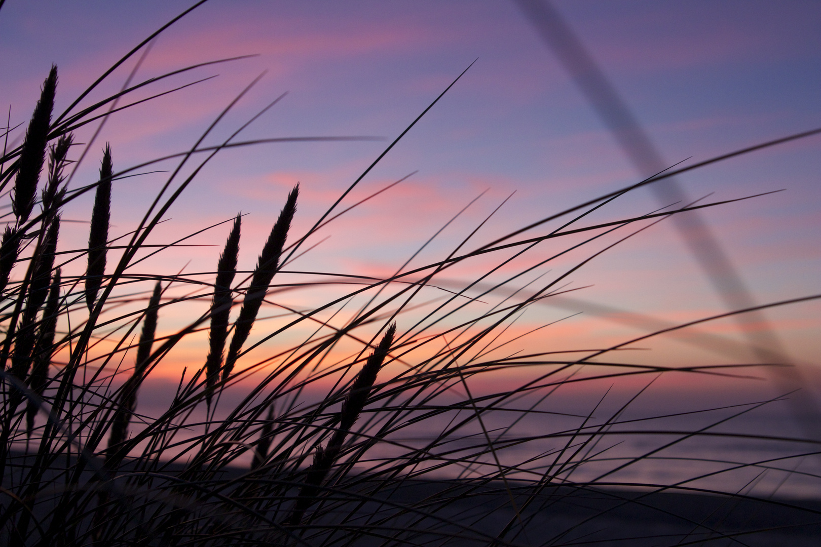 Abendlicht am Weststrand Darss