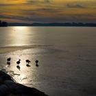 Abendlicht am Wörthsee