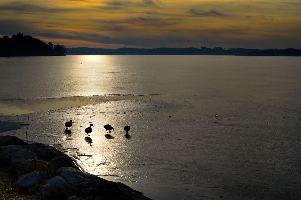 Abendlicht am Wörthsee