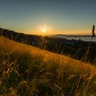 Abendlicht am Zürichsee