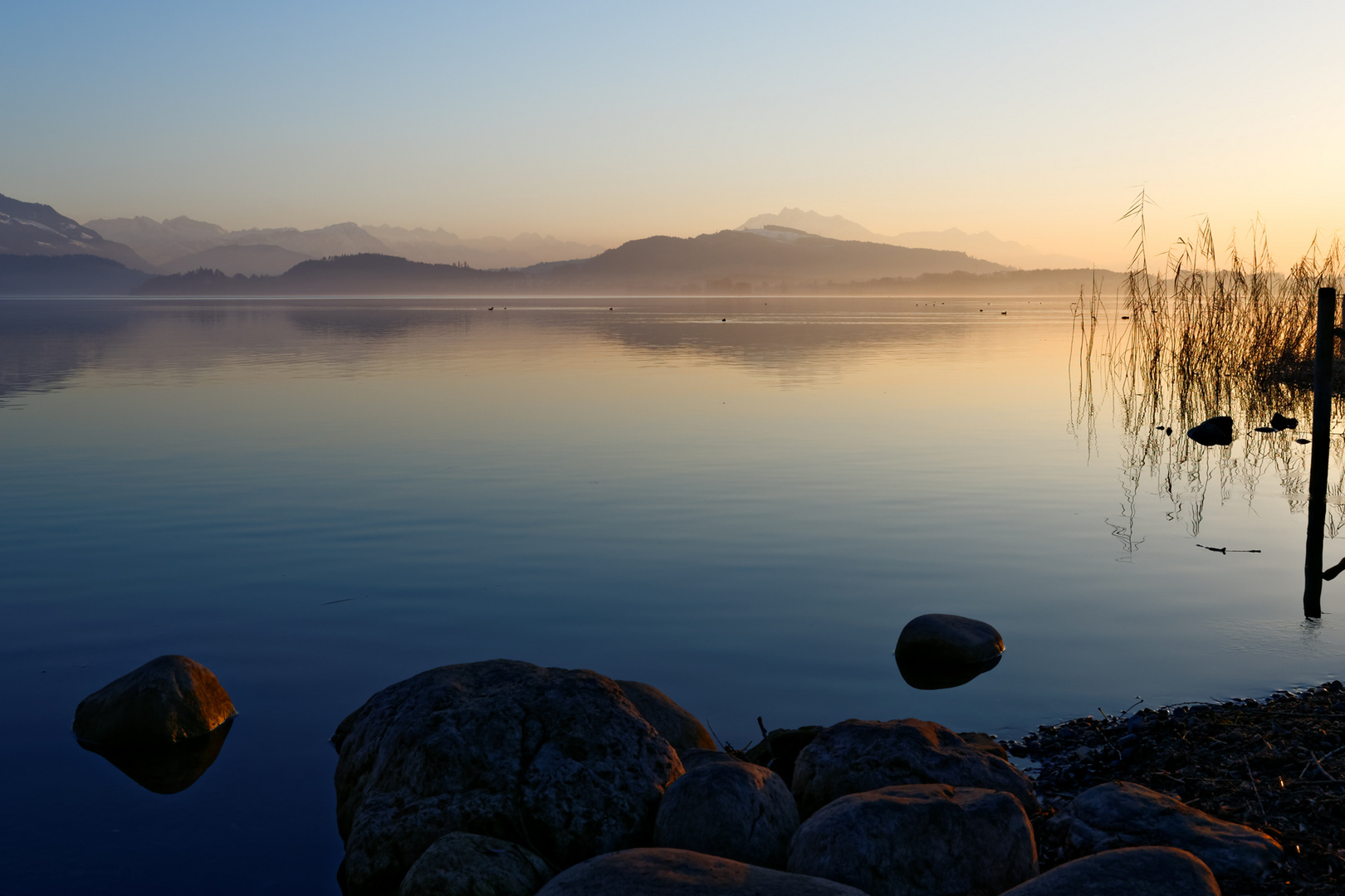 Abendlicht am Zugersee