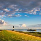 Abendlicht an der Elbe